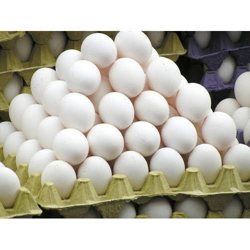 Eggs Tray 
