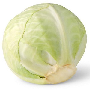 Cabbage