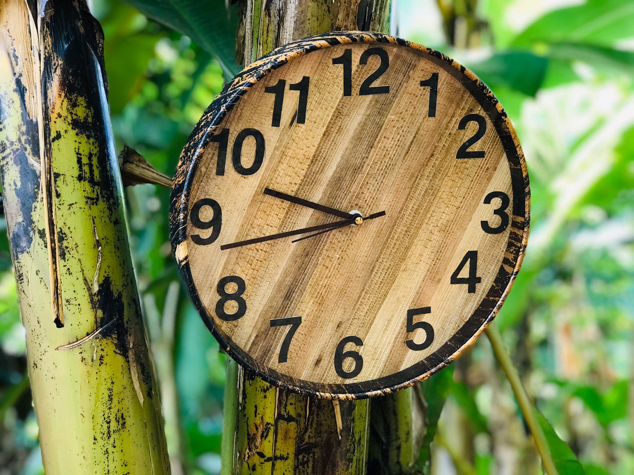 Sonam fiber Wall Clock