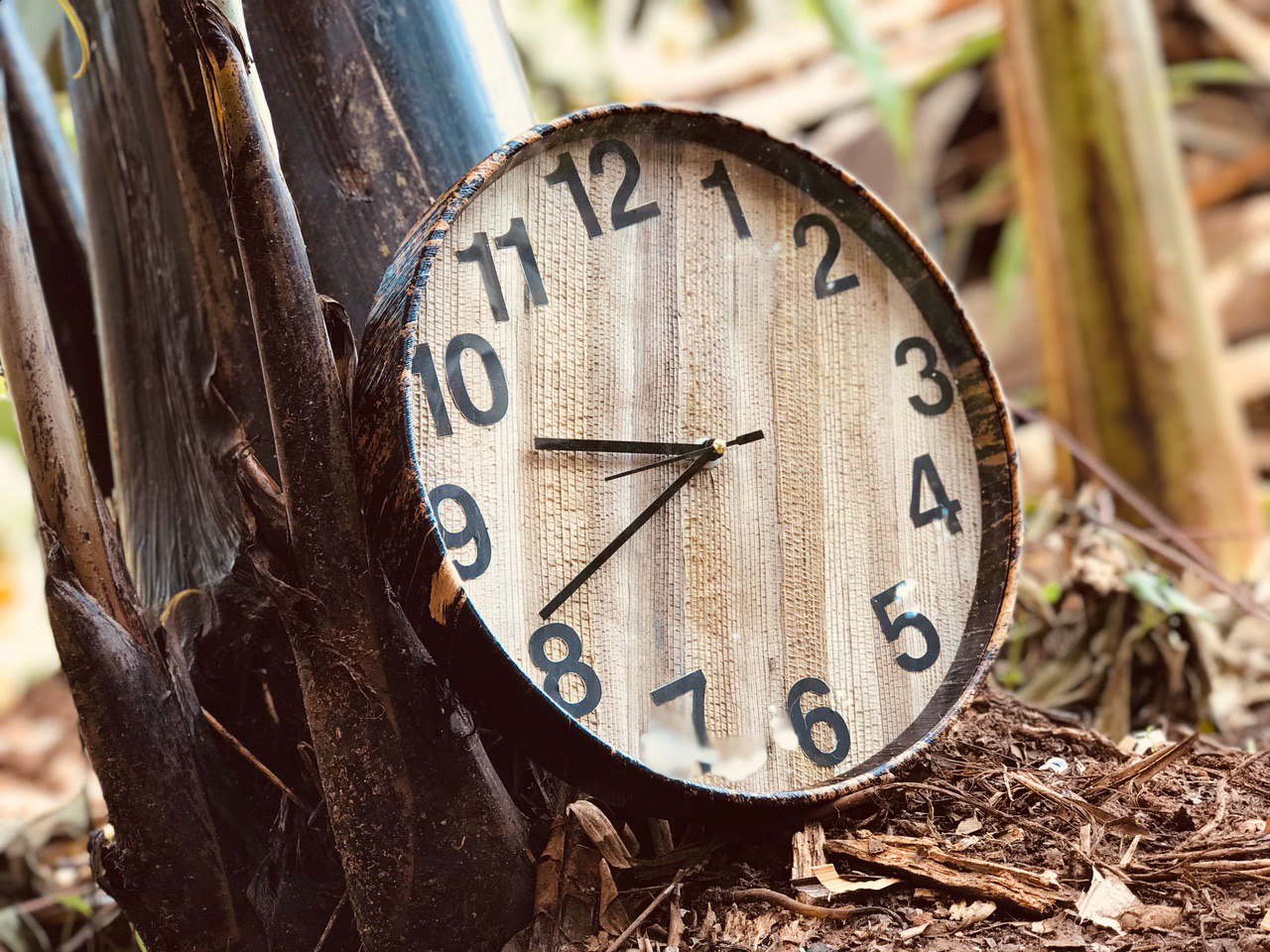 Sonam fiber Wall Clock