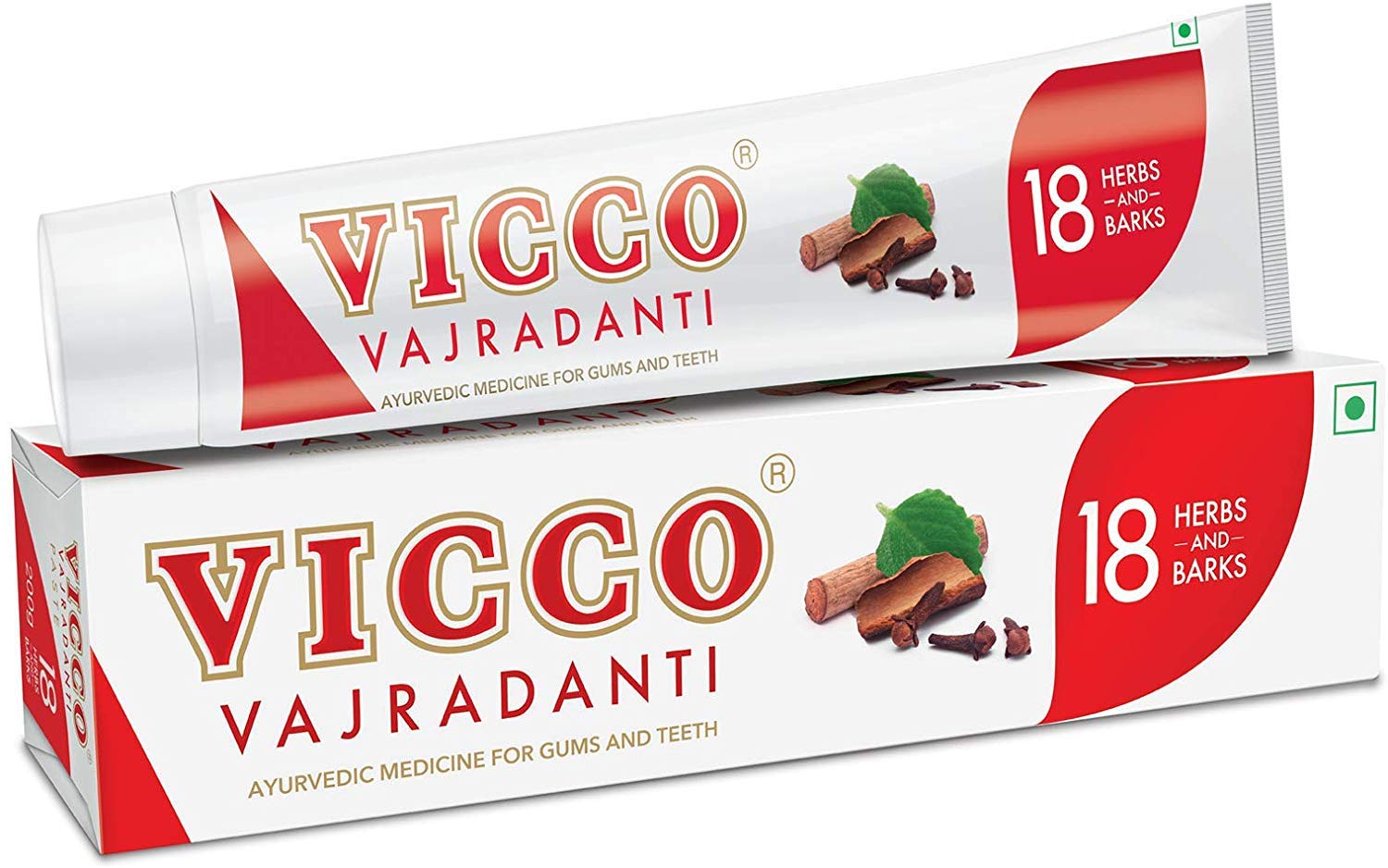 Vicco Vajradanti Tooth Paste (100 g)