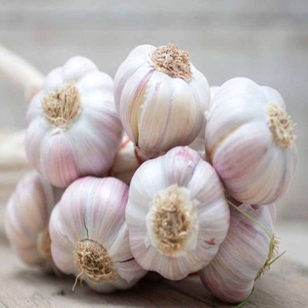 Garlic 250gm