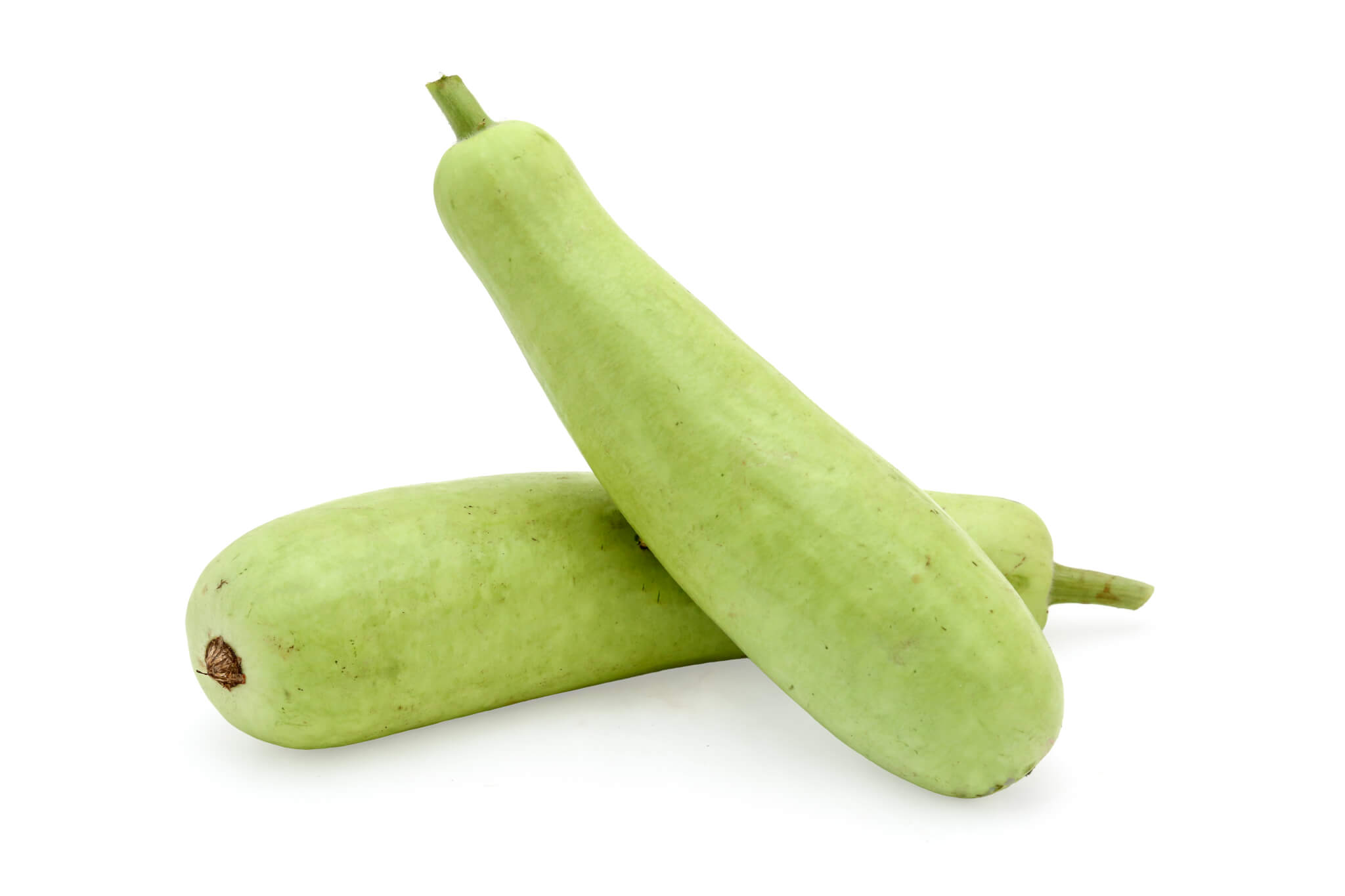 Bottle Gourd  (दूधी भोपळा  )