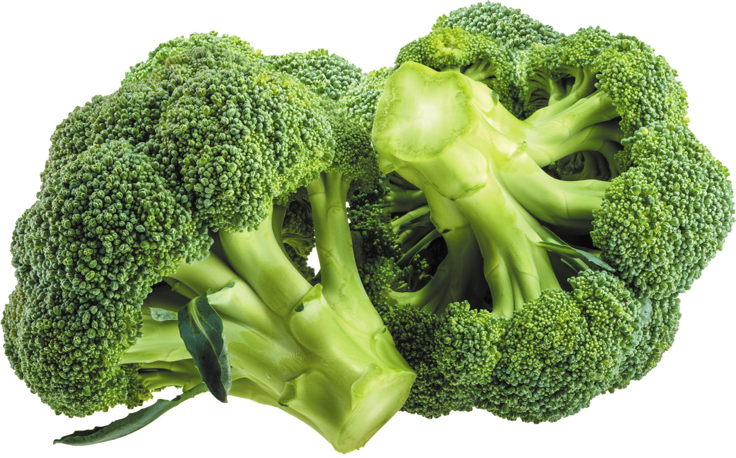 Broccoli (ब्रोकोली)