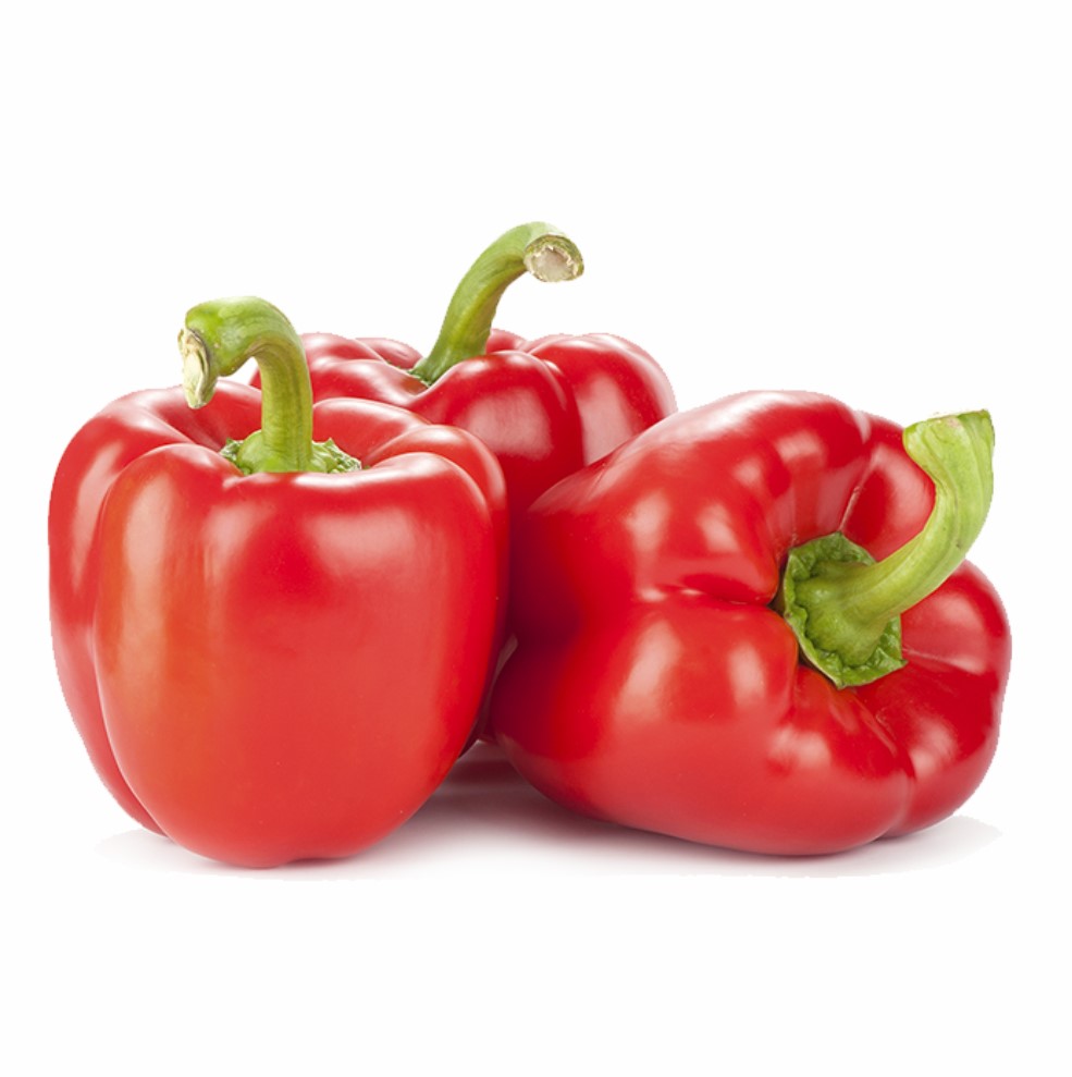 Capsicum Red ( लाल सिमला मिर्ची)