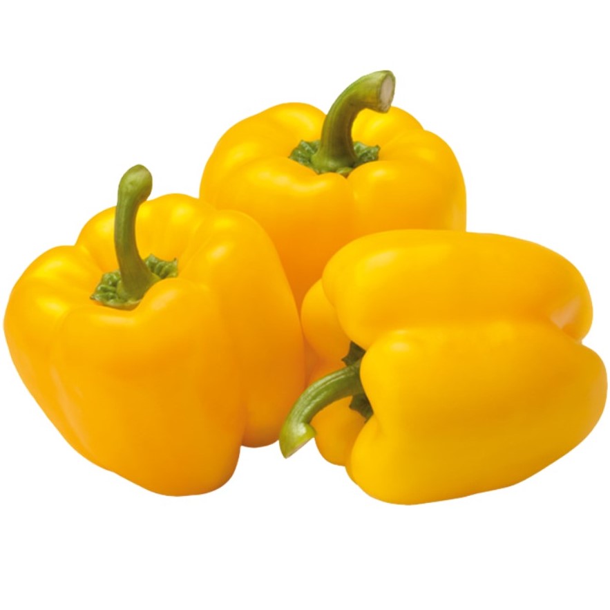 Capsicum Yellow (पिवळा सिमला मिर्ची)