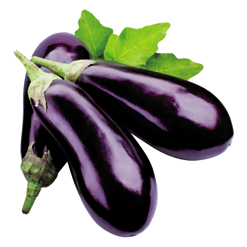 Brinjal Bottle Black (वांगी भरता)