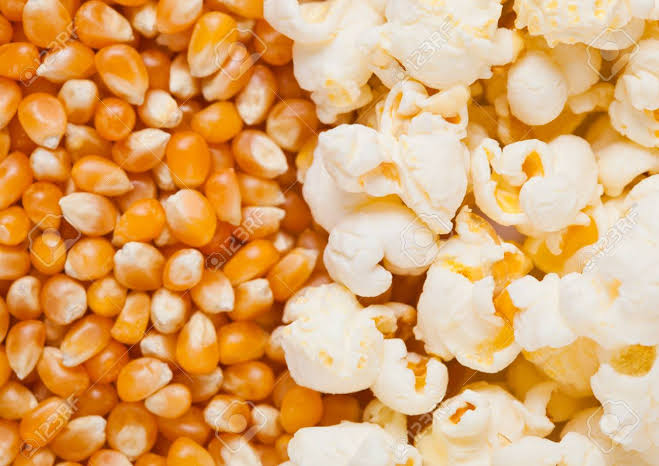 Popcorn - Seeds