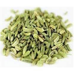 Fennel/Saunf