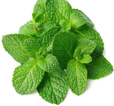 (50 gm) Pudina  (Mint Leaves)