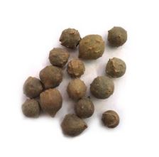 (100 gm) Majoophal   Oak gall