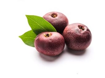 (50 gm) Kokum  Garcinia indica 