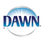 Dawn