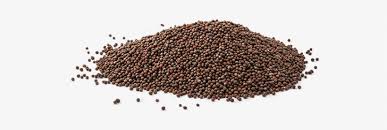 RAI BLACK MUSTARD SEEDS 100 gm