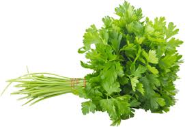 CORIANDER (DHANIYA) 250 gm