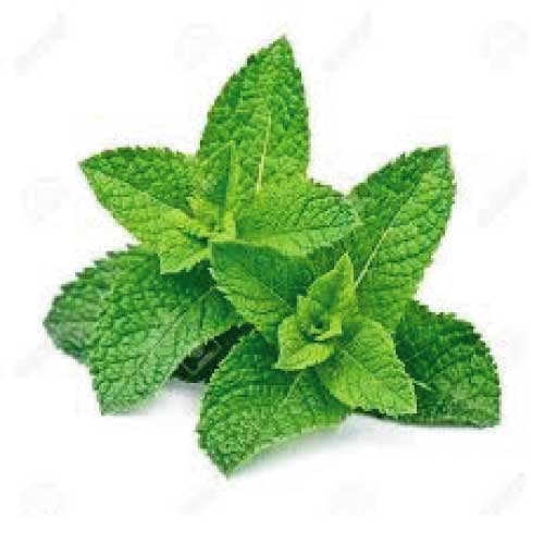 Mint leaves( पुदीने की पत्तियां)  - 250 Gm