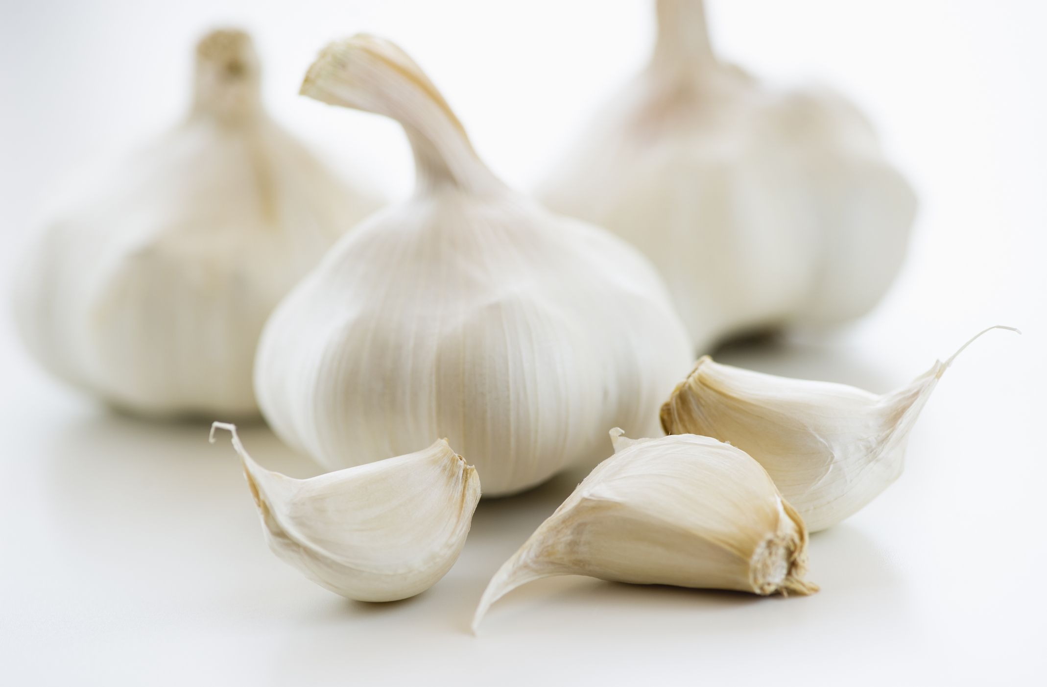 GARLIC