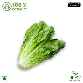 Organic Lettuce, 1 bundle