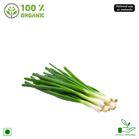 Organic Spring Onion, 1 bundle