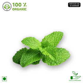 Organic Mint Leaves / Pudina Soppu, 1 bundle