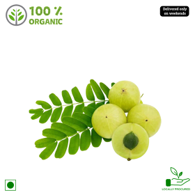 Organic Amla / Gooseberry / Nellikaayi, 300 gm