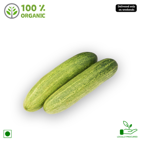 Organic Cucumber Green/ Mullu Southe, 500 gm