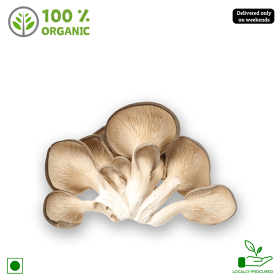Organic Mushroom Oyster/Oyster Anabe, 1 pack