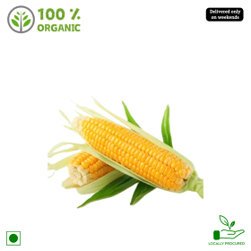 Organic Sweet Corn/ Jola, 1 Piece