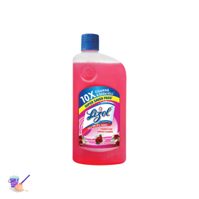 Lizol Disinfectant Surface & Floor Cleaner Liquid, All in 1, Flora, 975 ml
