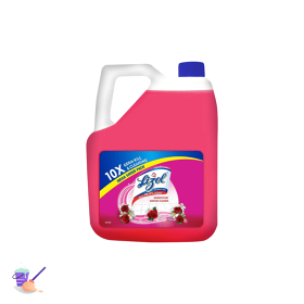 Lizol Disinfectant Surface & Floor Cleaner Liquid, Mega Saver Pack, Floral, 5 L