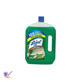 Lizol Disinfectant Surface & Floor Cleaner Liquid, Mega Saver Pack, Jasmine, 2L