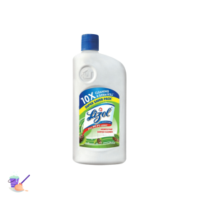 Lizol Disinfectant Surface & Floor Cleaner Liquid, Pine, 500 ml