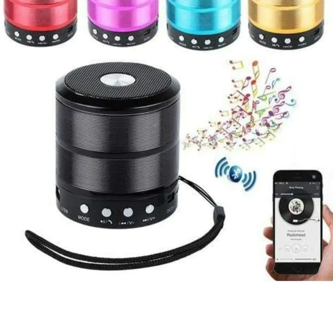 Bhrata WS-887 Mini Bluetooth Speaker with FM Radio, Memory Card Slot, USB....