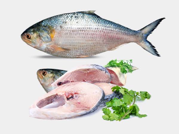 Ilish Fish 500g