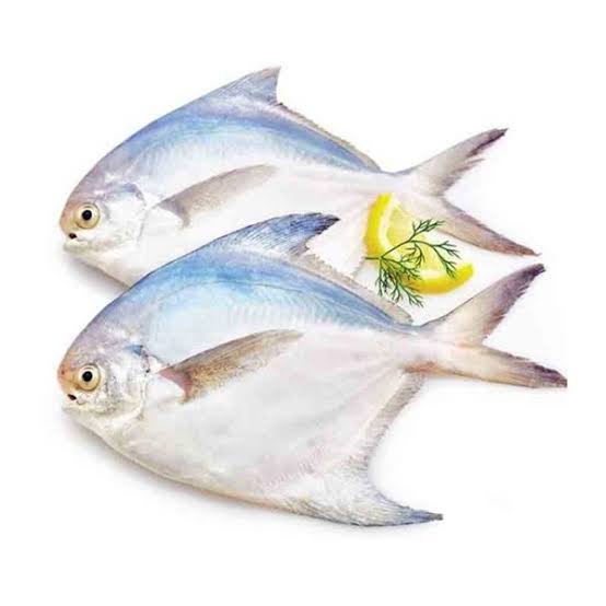 Pomfret Fish 500 g