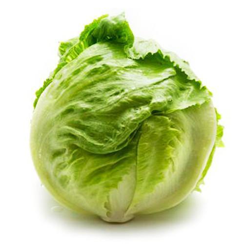 Lettuce Iceberg