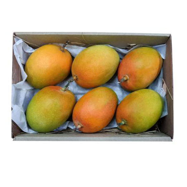 Mango Alphanso - Ratnagiri