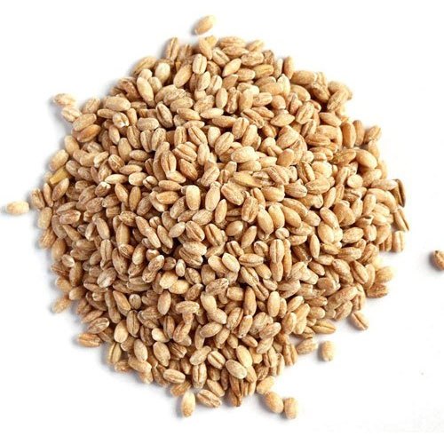 Barli Seeds