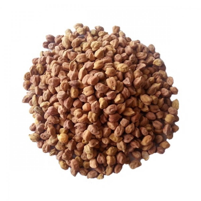 Brown Channa (Regular)