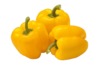 Capsicum Yellow