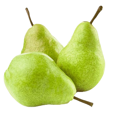 Pear (Nashpati) - Indian