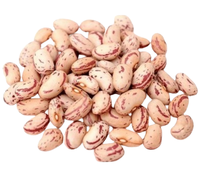 Rajma White (Premium)