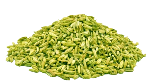 Saunf (fennel) Green/Raw