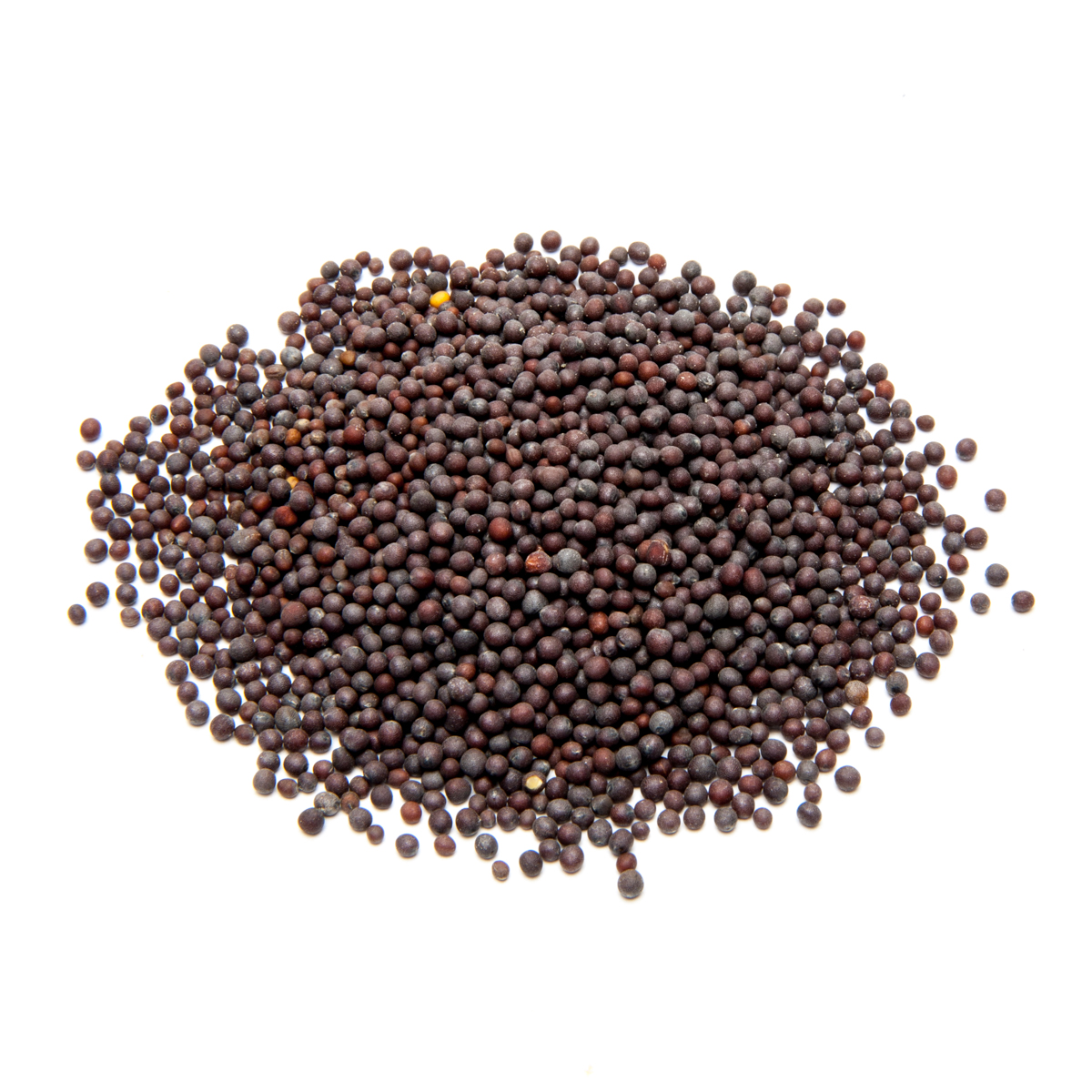 Mustard Seeds (Rai)