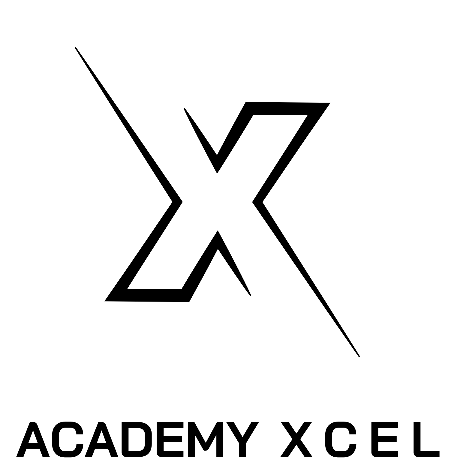 Academyxcel