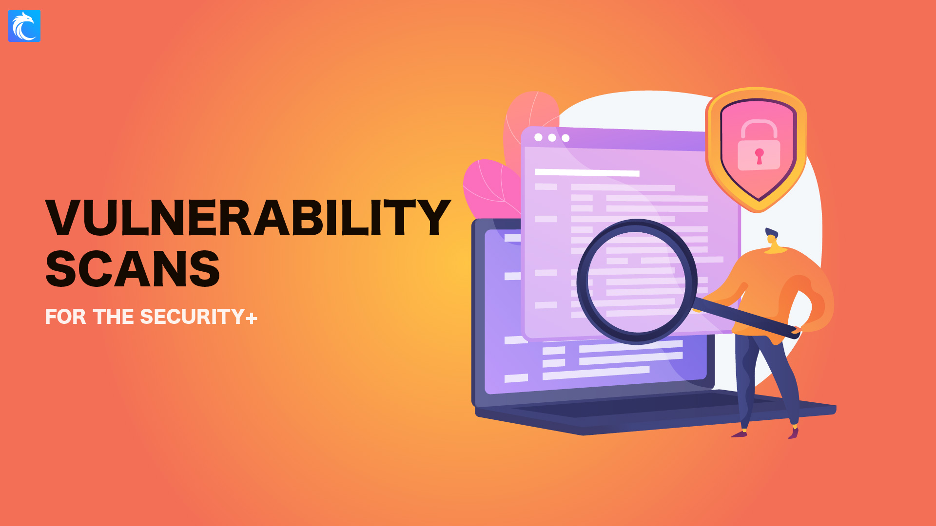 Vulnerability Scanning and Assessment Live Workshop