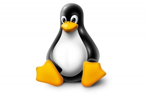Working with Linux Live Course