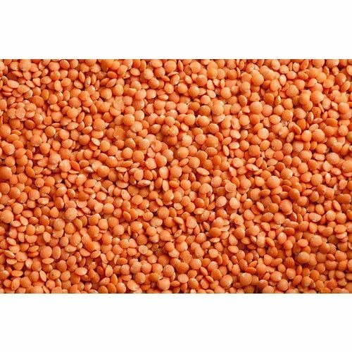 Masoor Whole 500gm