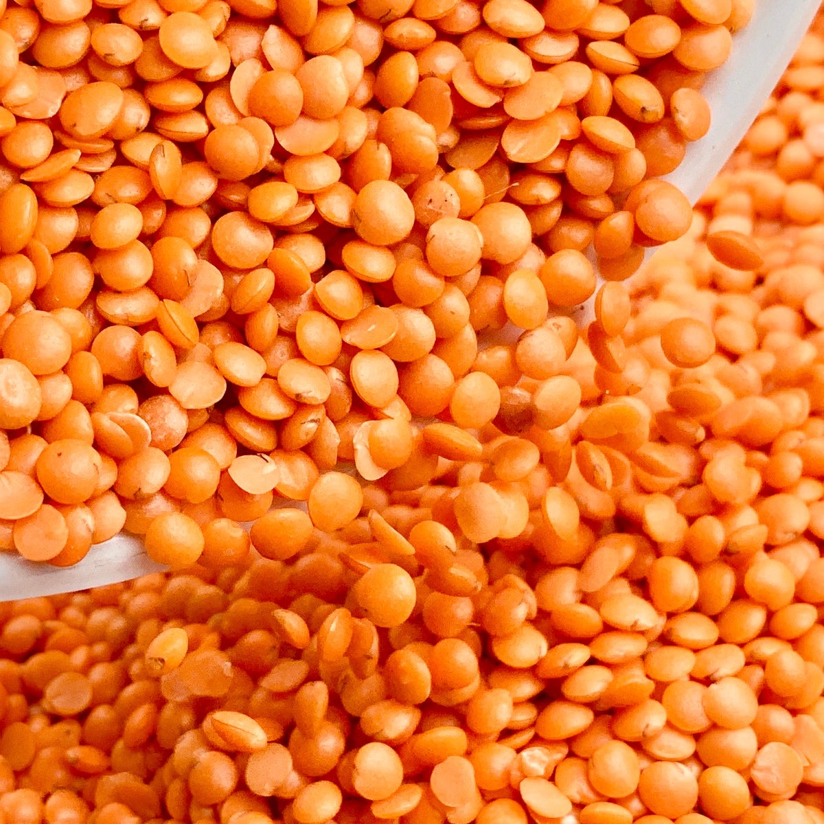Masoor Dal 1Kg