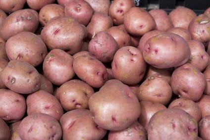 Red Potato, 1 kg